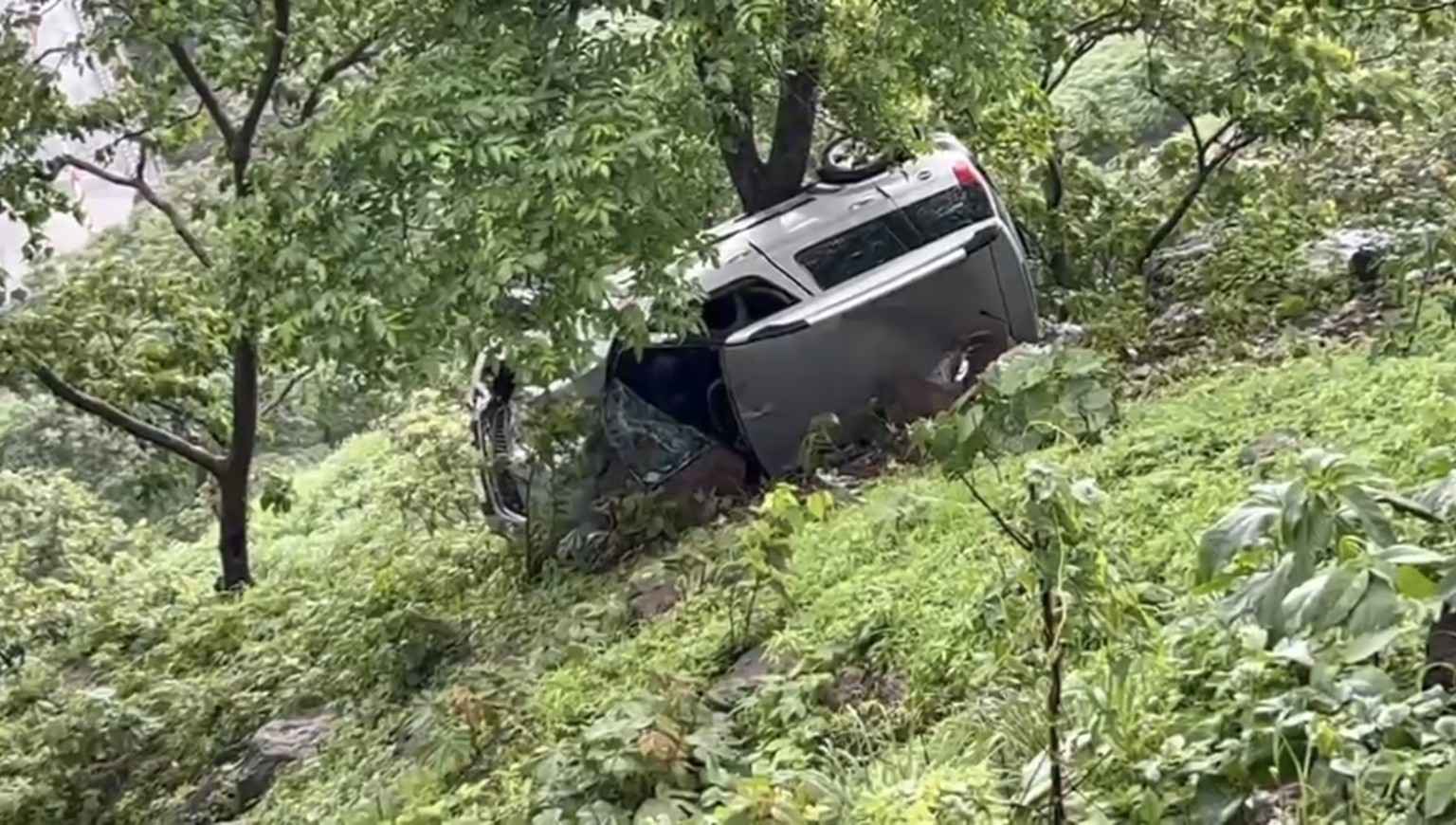 झाडामुळे स्कोडा कार थांबली; ५० फूट दरीत कोसळूनही चालक बचावला